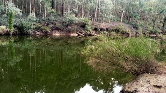 Serene river landscape reflecting trees and greenery at Lane Poole Reserve near The Sebel Mandurah