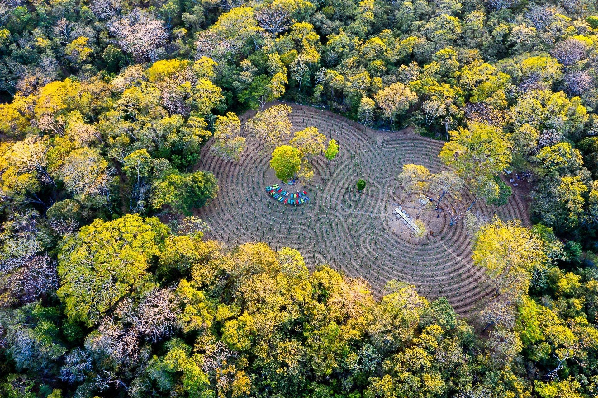 Aerial view of La Senda Magical Farm nestled within a vibrant tropical forest at Cala Luna Boutique Hotel