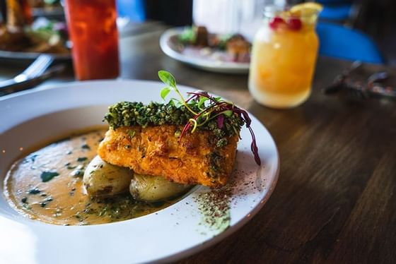 Artfully plated food on dining table at Embassy Hotel & Suites