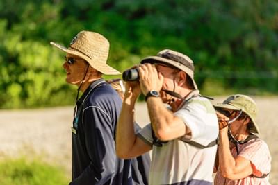 People bird watching with binoculars near Heron Island Resort