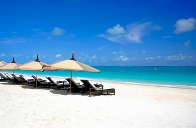 Sunbed area near the beach at The Somerset On Grace Bay