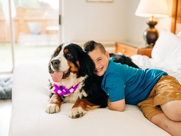 Boy playing with a dog