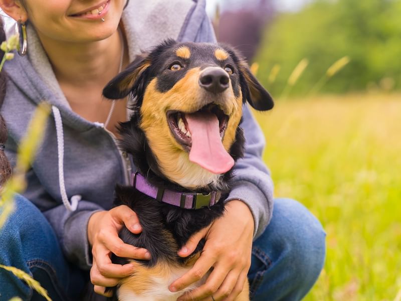 young girl with dog sitting