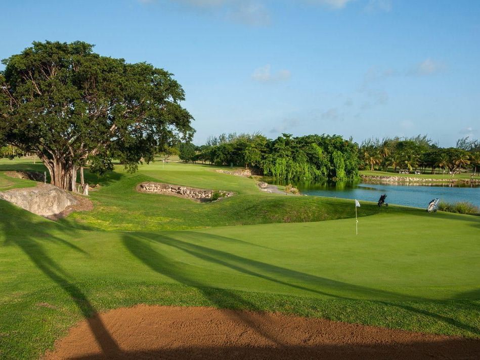 Scenic view of Barbados Golf Club Course with green fairways, a sand bunker near Rostrevor Hotel