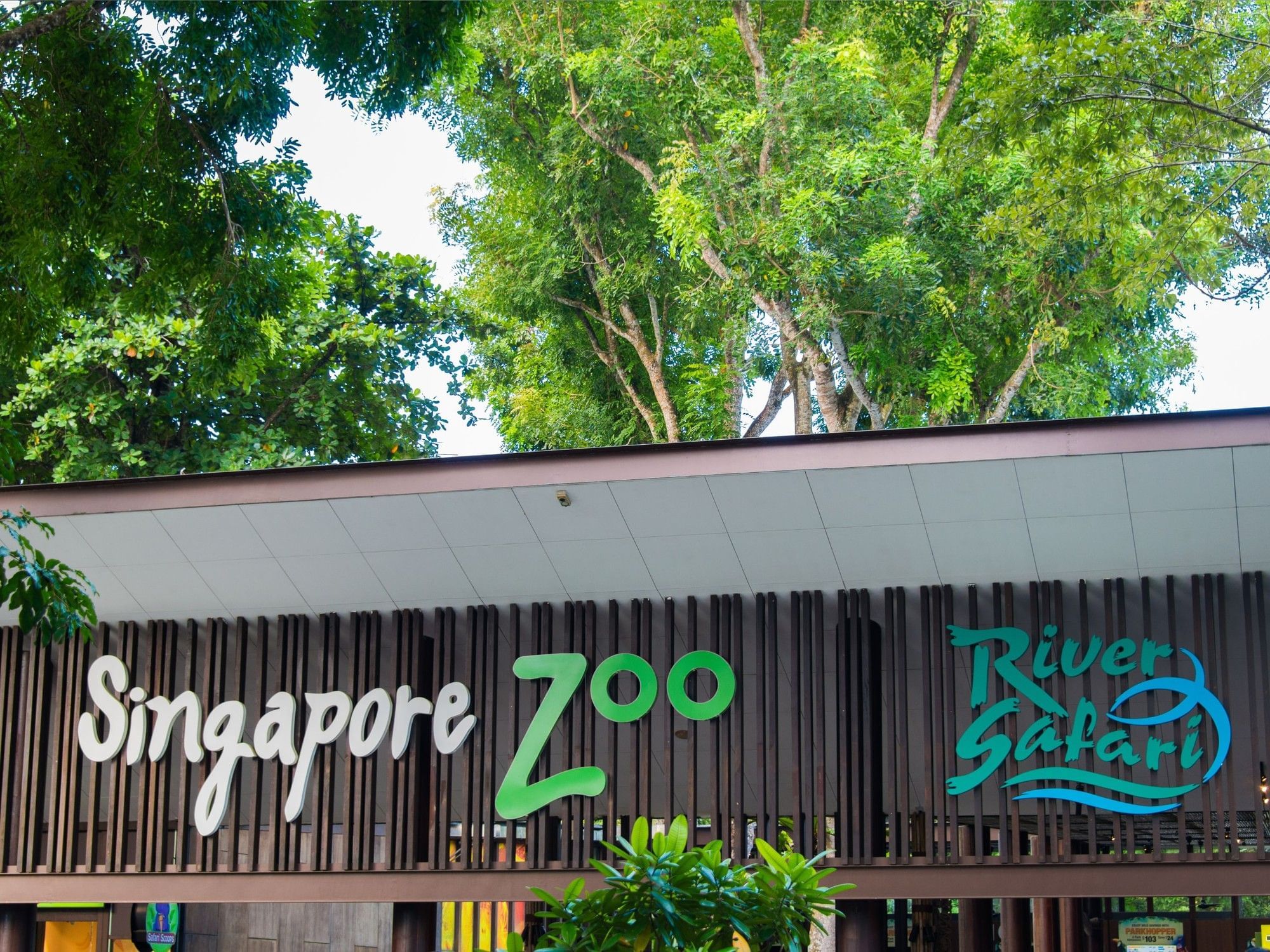 Mandai Wildlife Singapore | Grand Park City Hall | Singapore Hotel