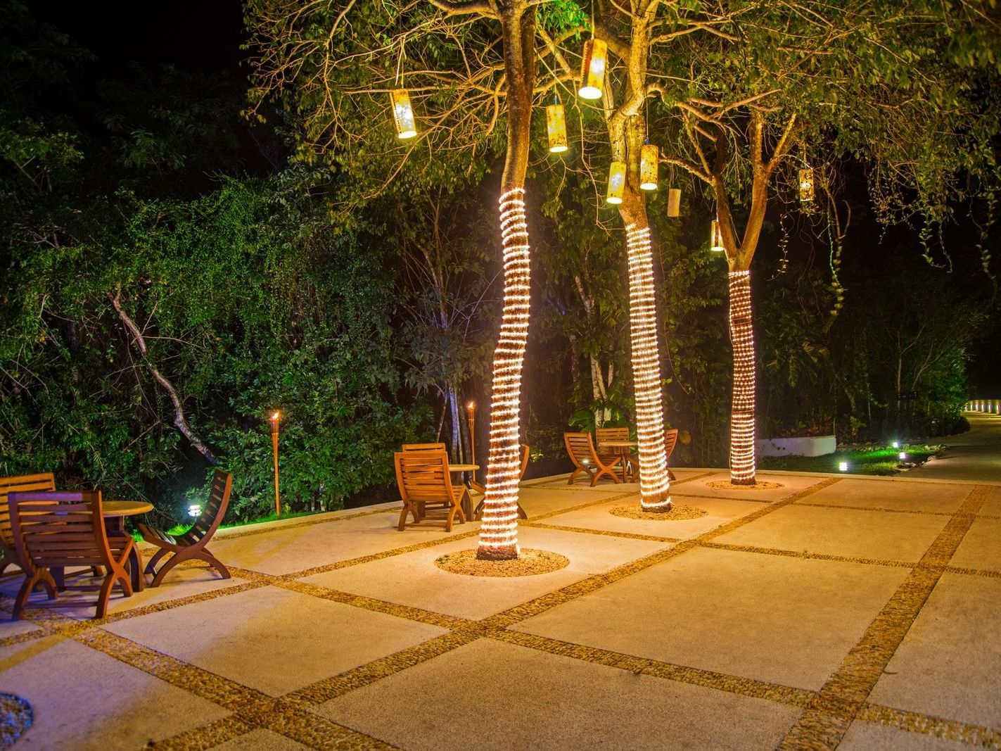 Trees decorated with lights at night at La Coleccion Resorts