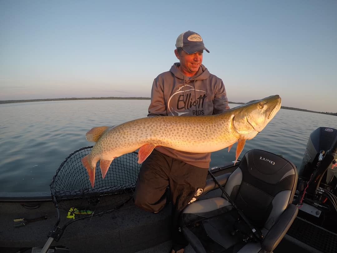 A man holding a large fish caught near chase on the lake