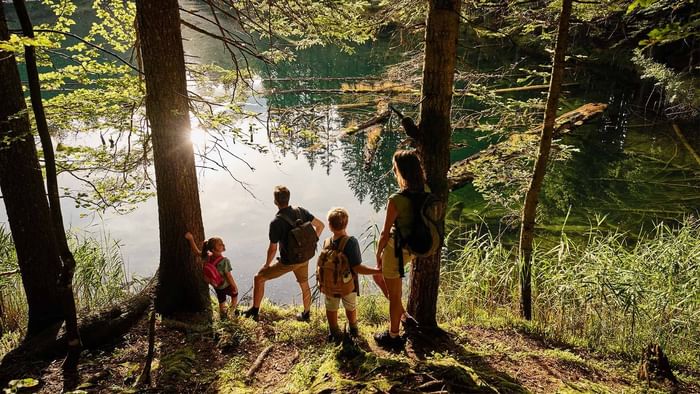 Famiglia di quattro persone con zaini che osserva un lago in una foresta.