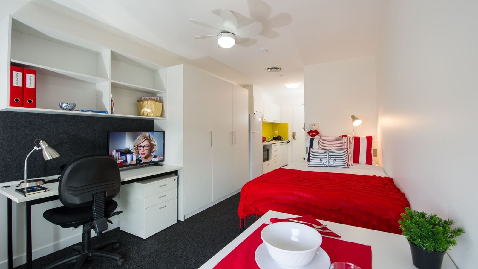 Studio Regular Apartment