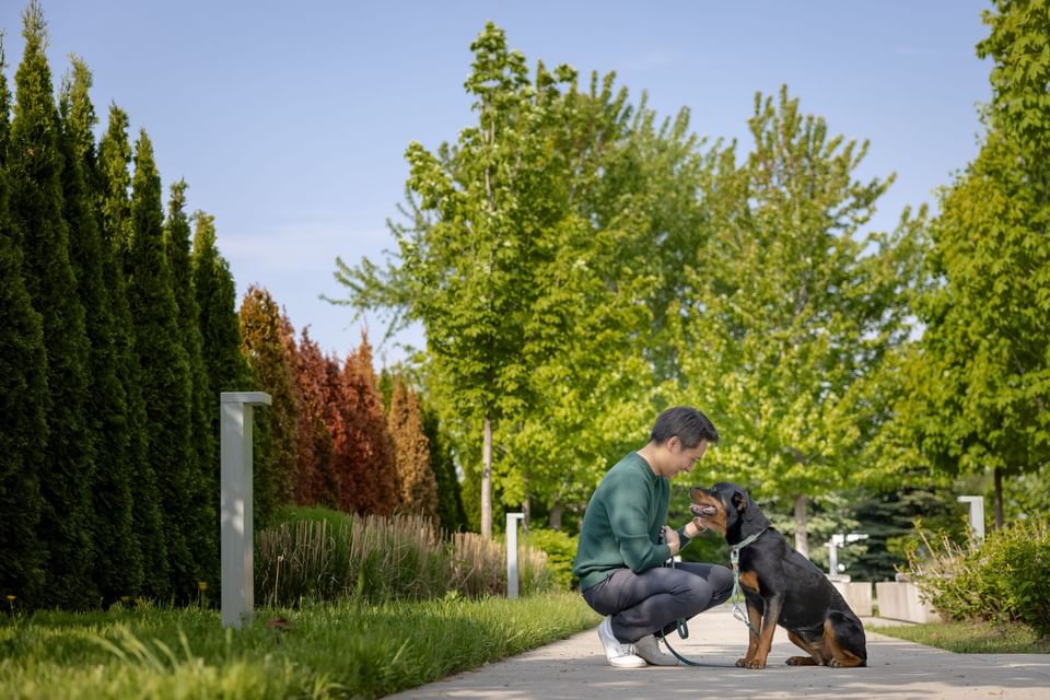 Man kneeling by a Rottweiler on a garden path surrounded by lush green trees and manicured shrubs near Hotel X Toronto