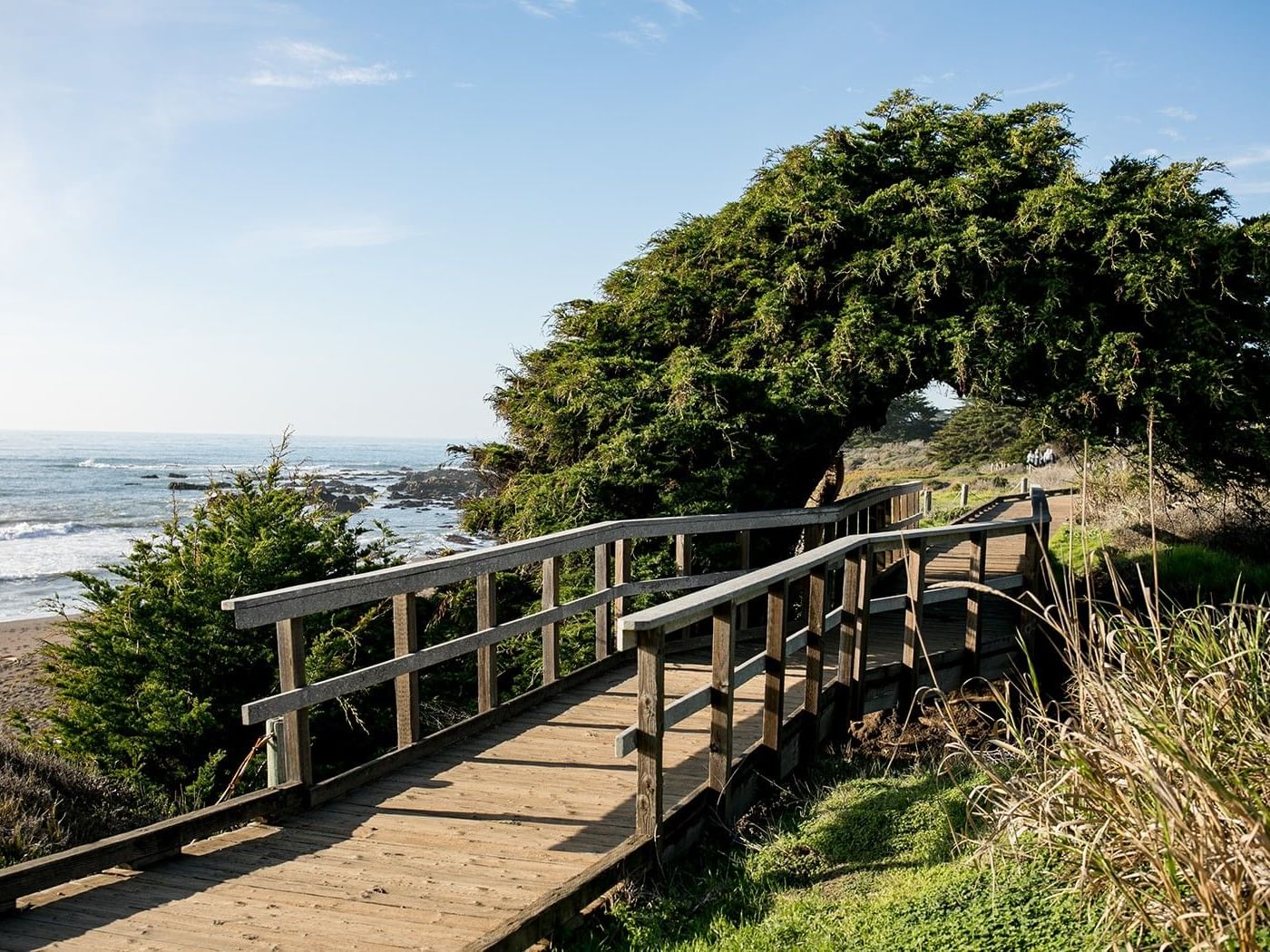 Moonstone Beach Boardwalk