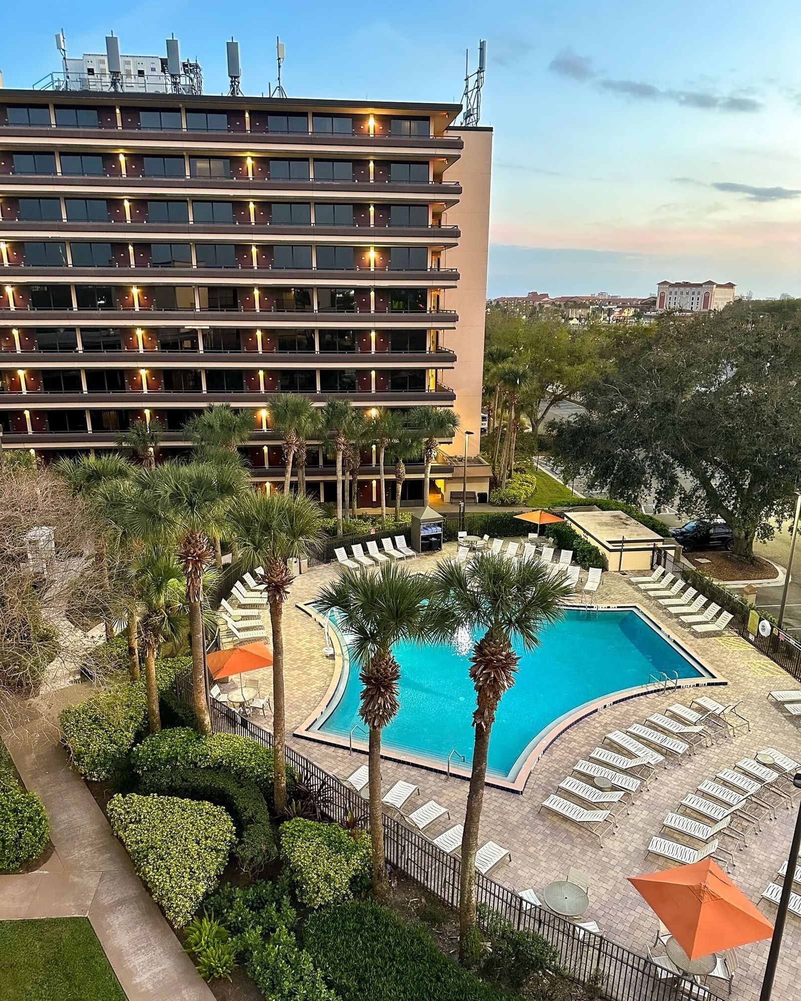 A tall hotel sits behind a beautiful blue pool surrounded by palm trees and lounge chairs. 