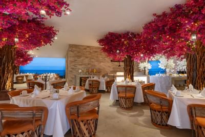 Attractive Restaurant in puerto vallarta