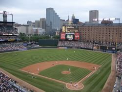 baseball players on a baseball field