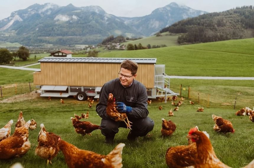 Farmer with a flock of Chicken near Imlauer Schloss Hotel