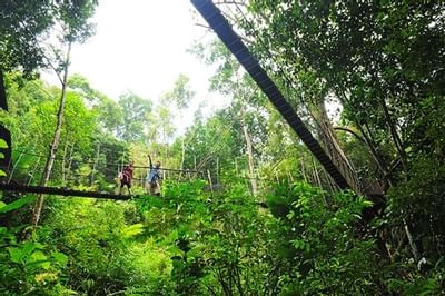 Places Of Interest | Penang Attractions | Where To Go In Penang