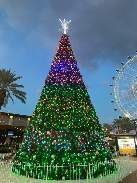 A twinkling Christmas tree lights up an evening sky at ICON Park in Orlando.