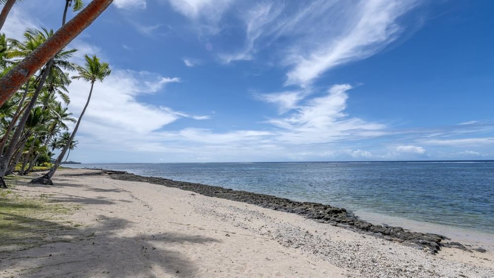Sandy beach and ocean view with palm trees at Tambua Sands Beach Resort in Sigatoka.