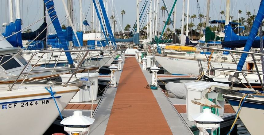 A view of Boats docked on the San Diego Bay at Bay Club Hotel