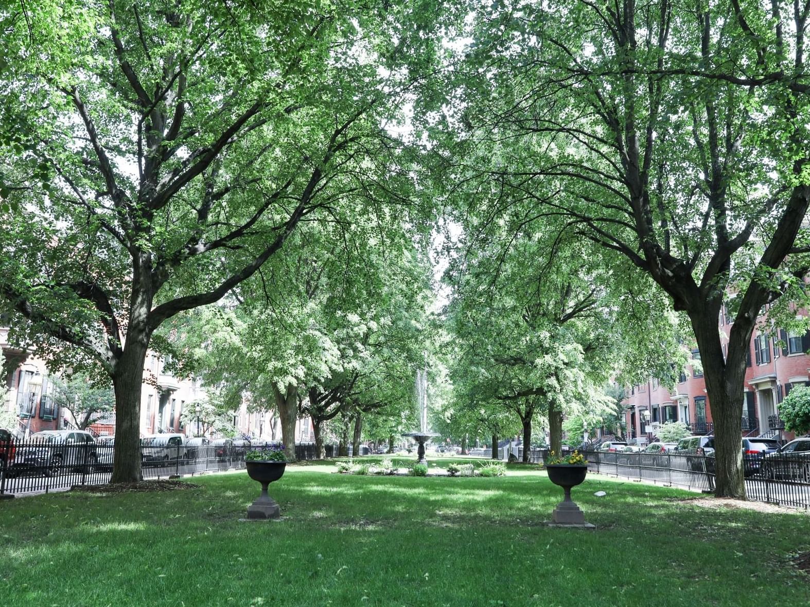 A green park between two rows of brownstones.