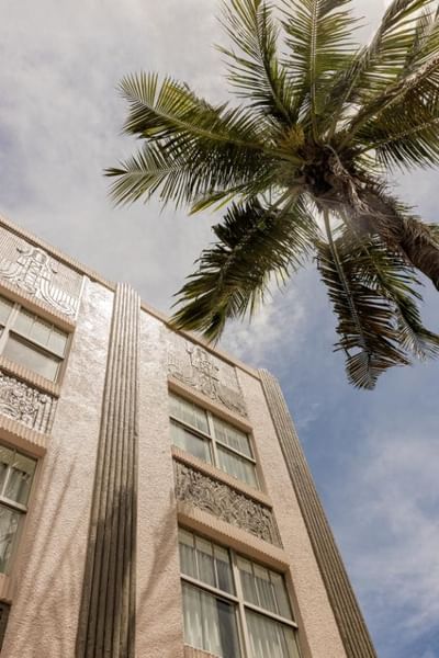 Tall palm tree leaves over a building facade with intricate designs and windows at Clinton Hotel and Spa