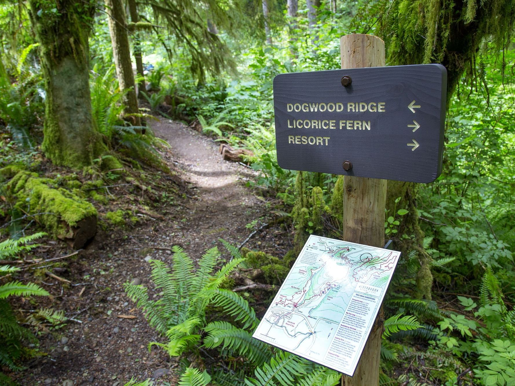 Sunrise to Sunset Trail near Alderbrook Resort & Spa