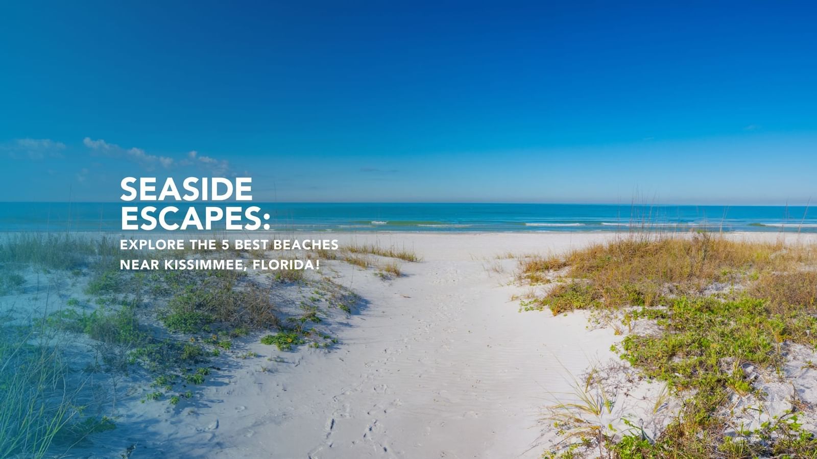 Seaside Escapes: Explore the 5 Best Beaches Near Kissimmee, Florida!