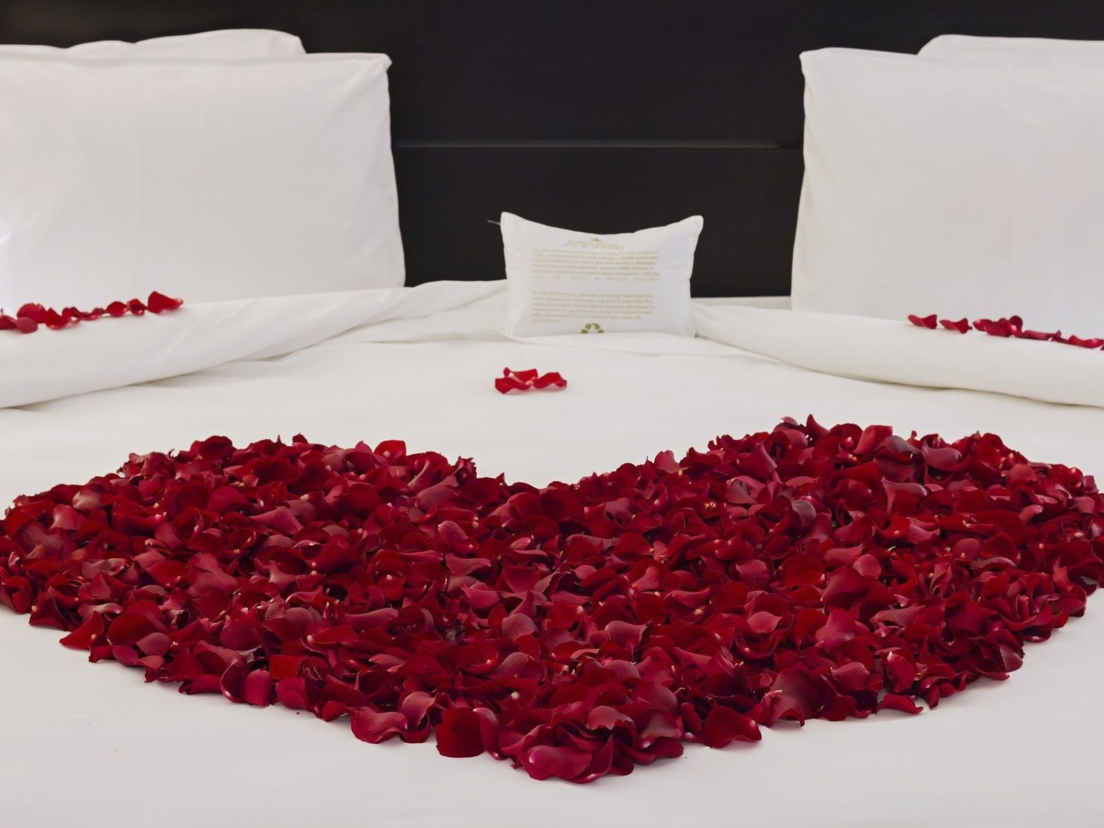 Honeymoon Bed décor in Junior Suite at Marquis Reforma