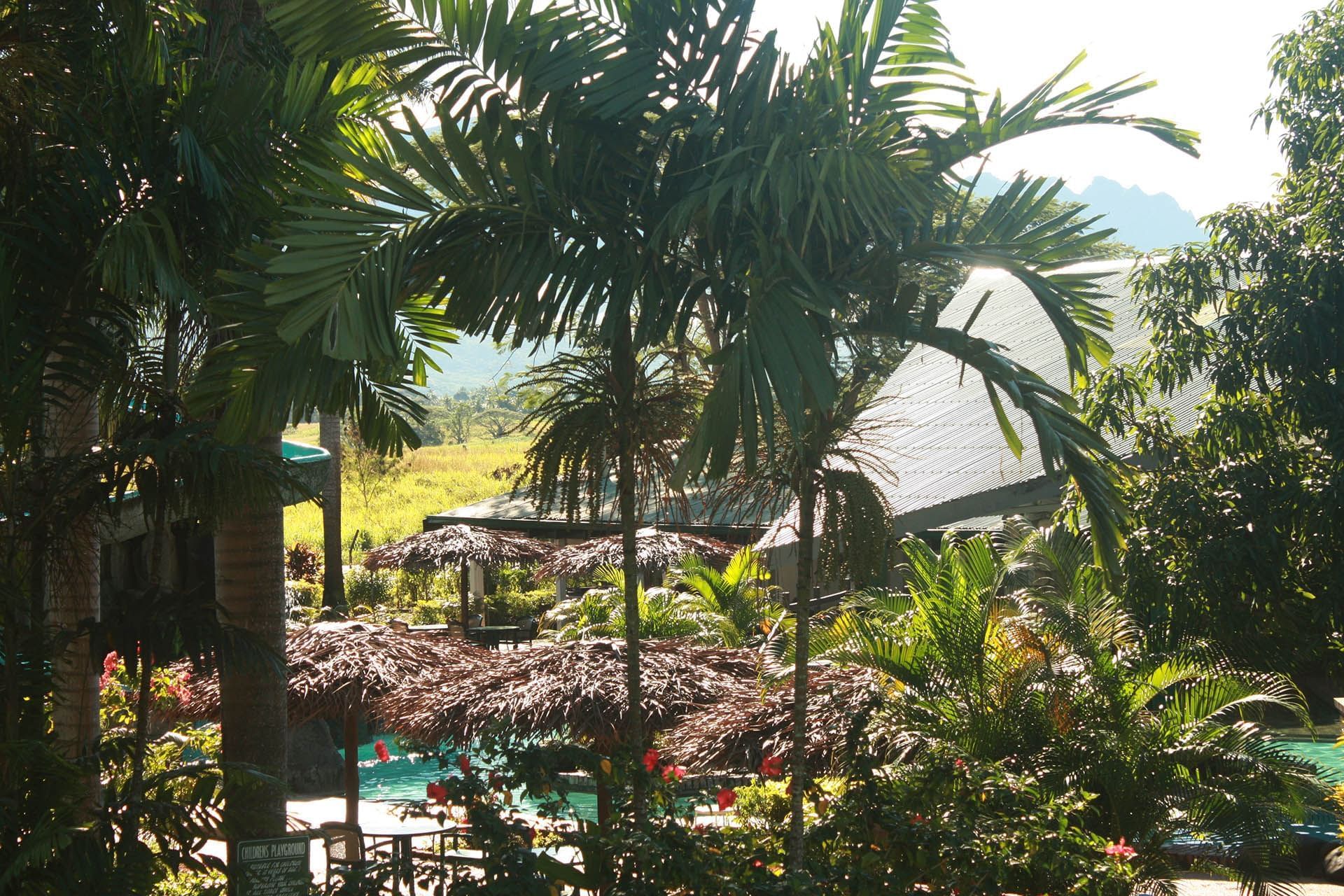 Garden with the pool & palm trees at Tokatoka Resort