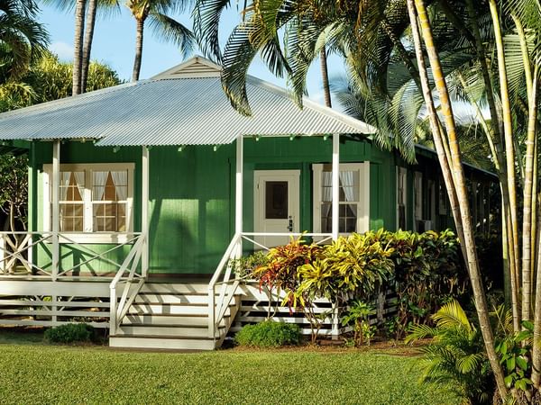 Cottage surrounded by trees and garden