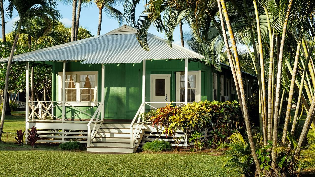 Cottage surrounded by trees and garden