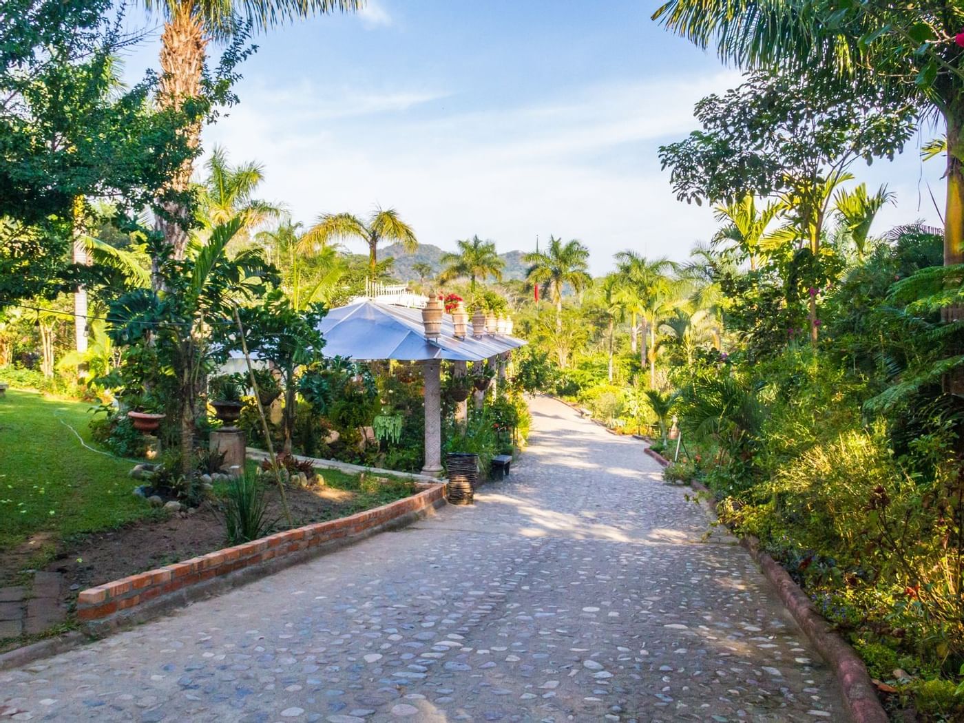 Pathway in Vallarta Botanical Gardens near La Colección Resorts