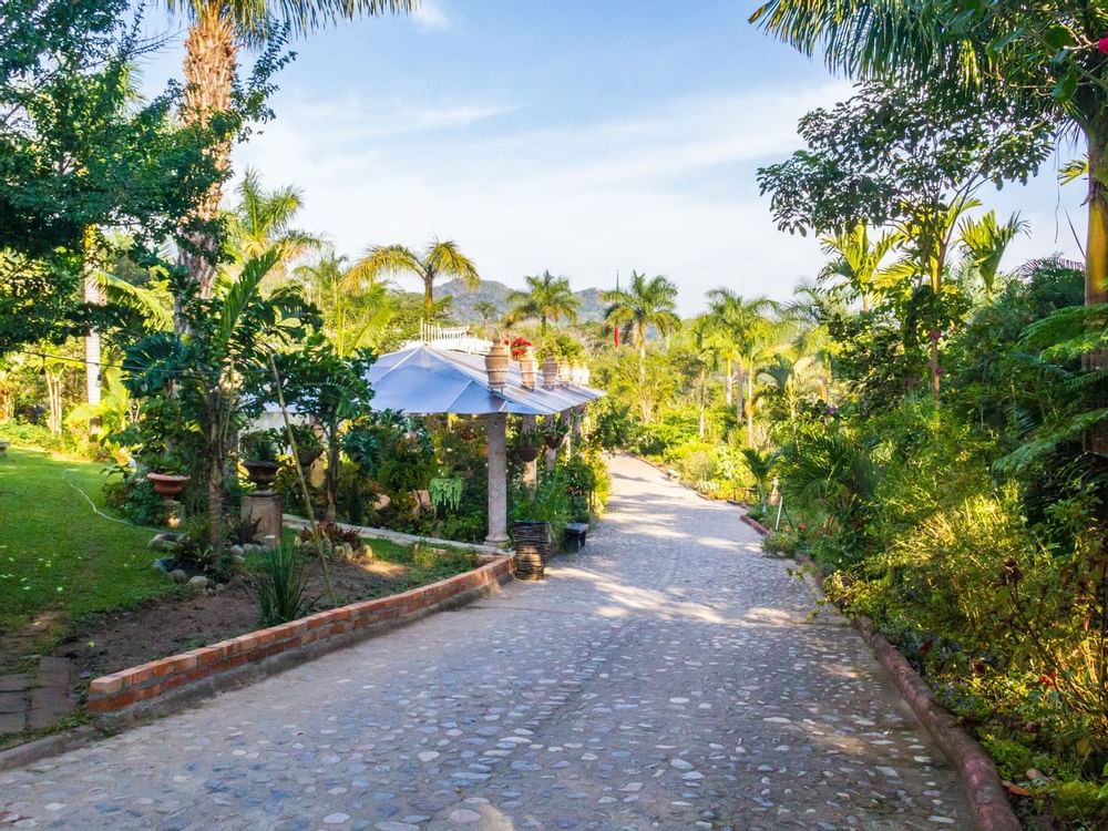 Vallarta Botanical Gardens near the La Colección Resorts