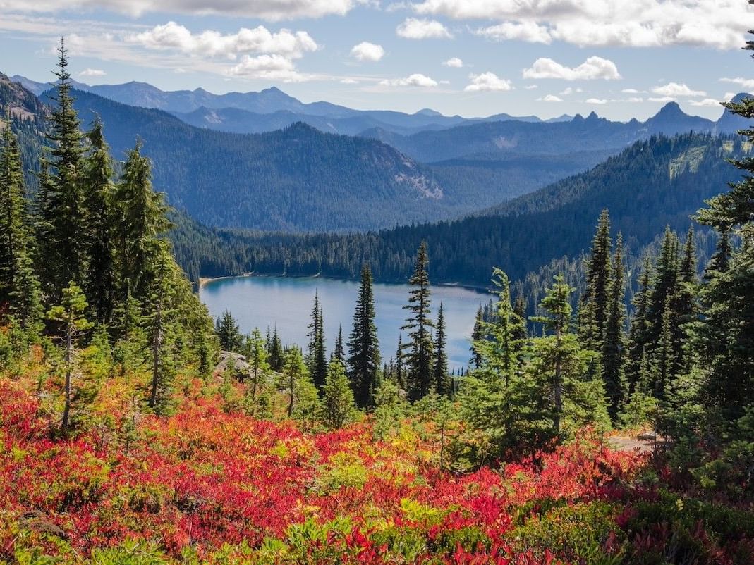 Mountain lake surrounded by fall foliage and tall trees under a partly cloudy sky.