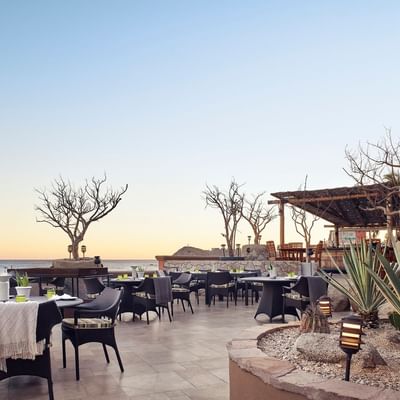 De Cortez Grill and Restaurant terrace at sunset with empty tables and desert trees at Hacienda del Mar Los Cabos
