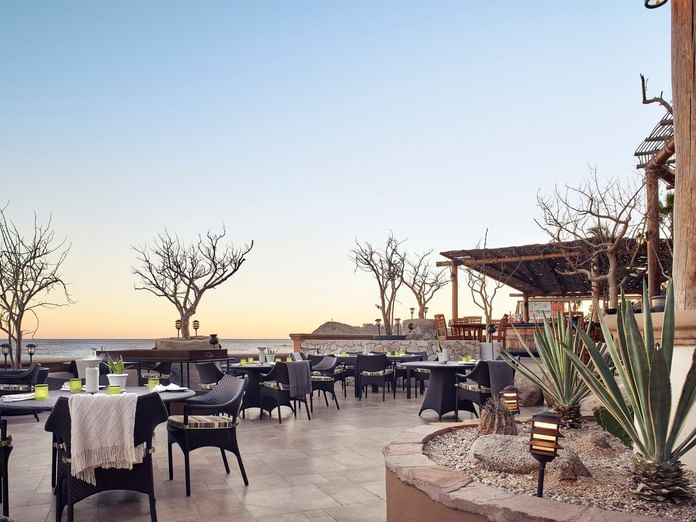 De Cortez Grill and Restaurant terrace at sunset with empty tables and desert trees at Hacienda del Mar Los Cabos.