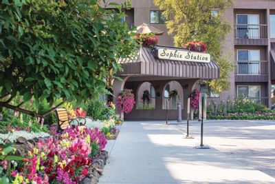Exterior View of the Sophie Station Suites with the garden