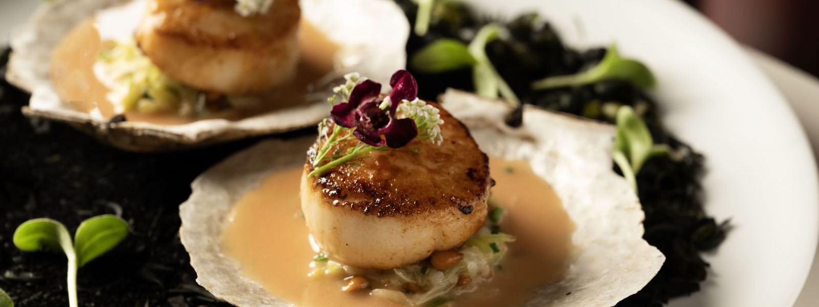 Scallops on a plate 