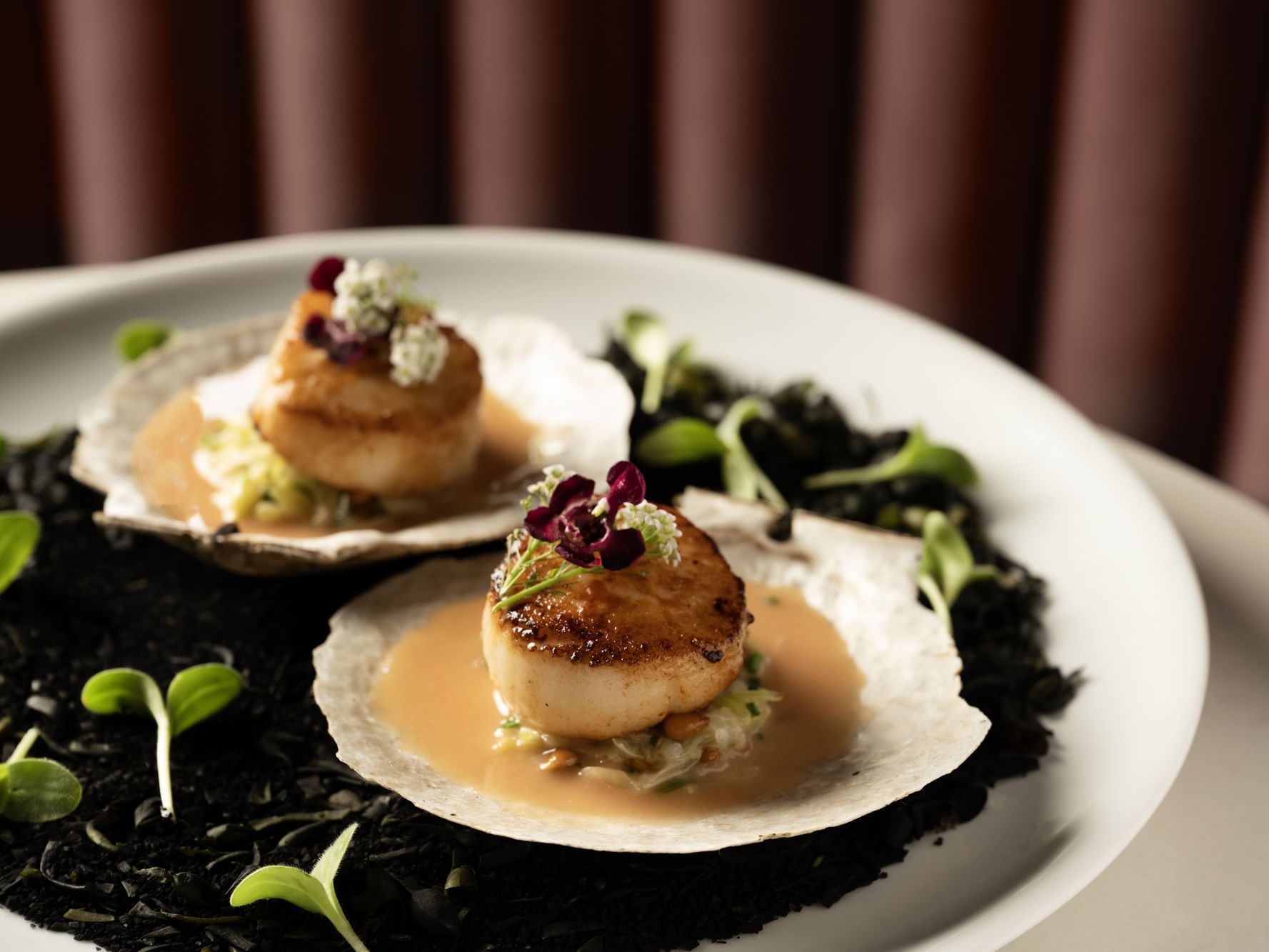 Scallops on a plate 