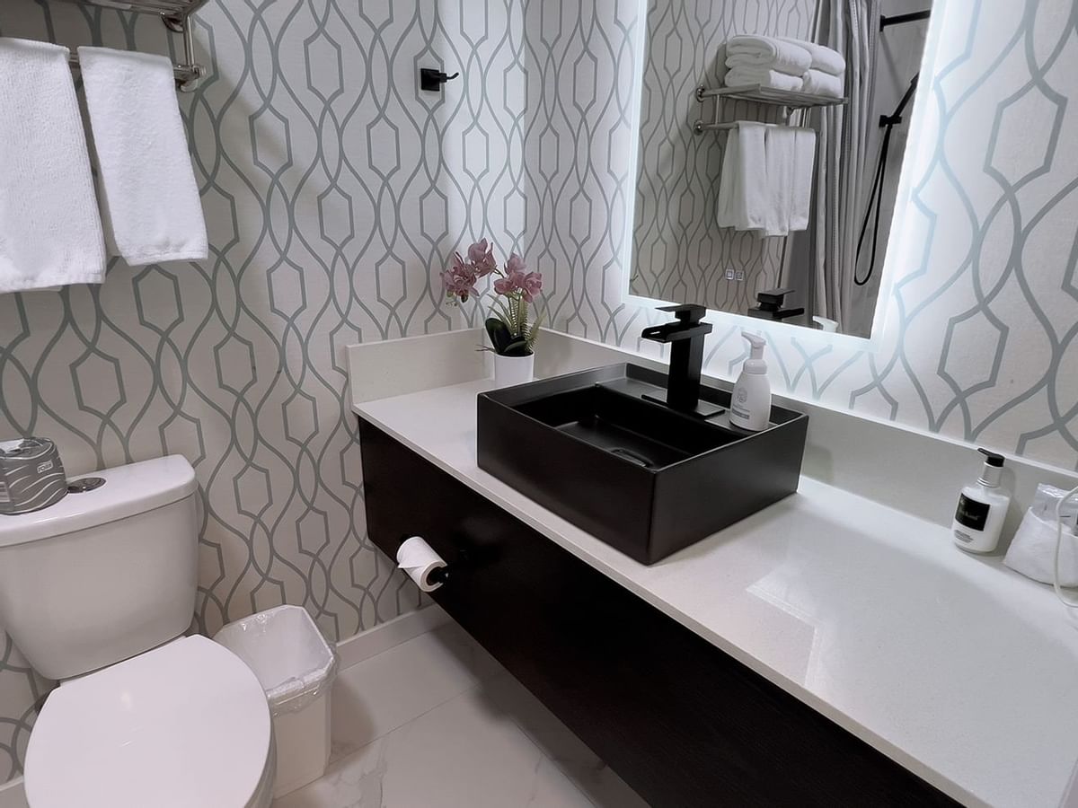 Bathroom with towels, toilet, mirror, sink, hairdryer