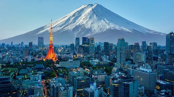 Distance view of Tokyo skyline & Mount Fuji near Hop Inn Hotel