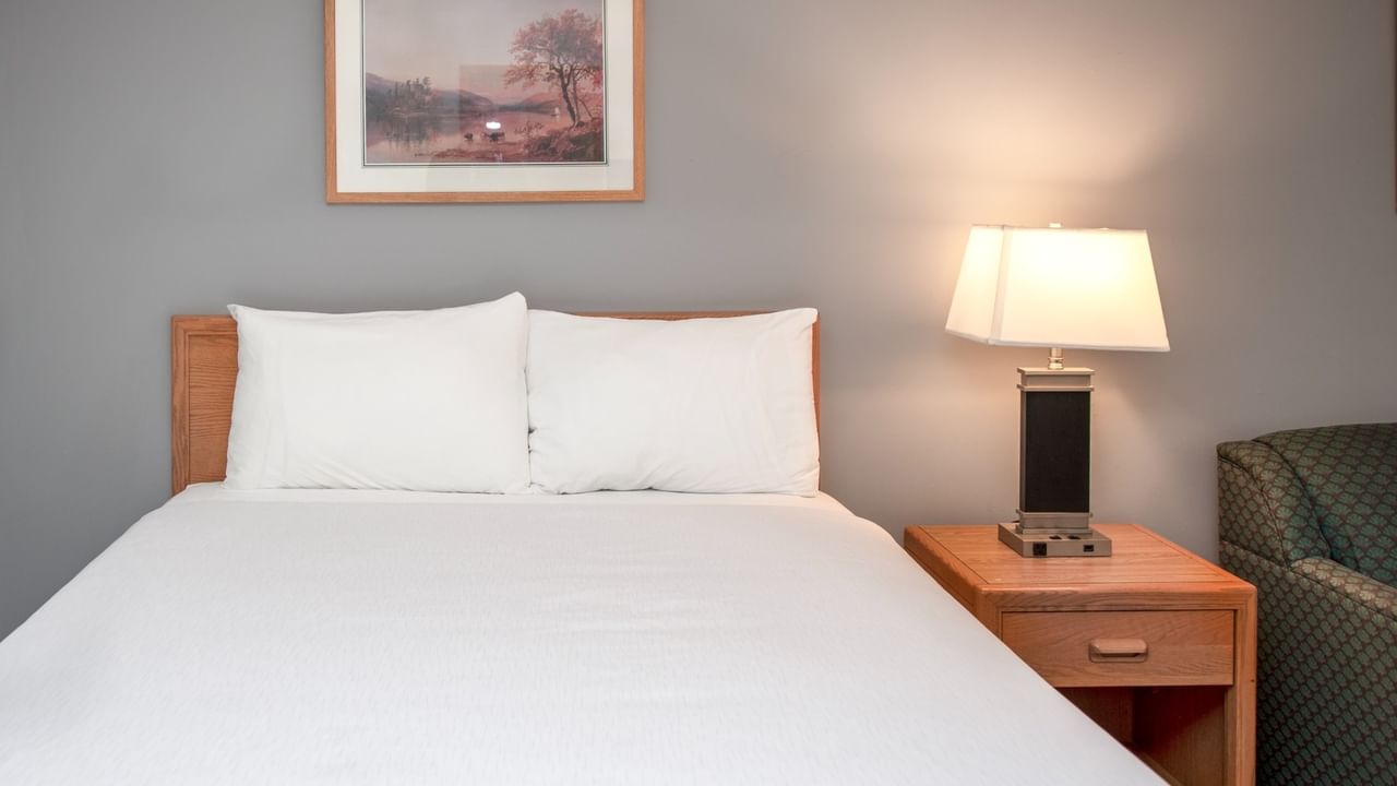 Bedroom with two white pillows, a wooden nightstand with a lamp, and a painting on the wall.