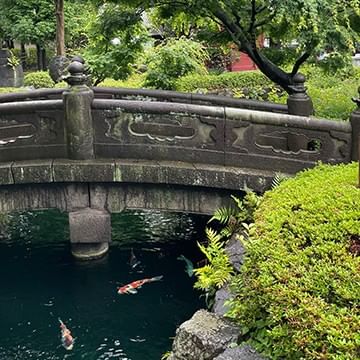 Arched stone bridge over a koi pond