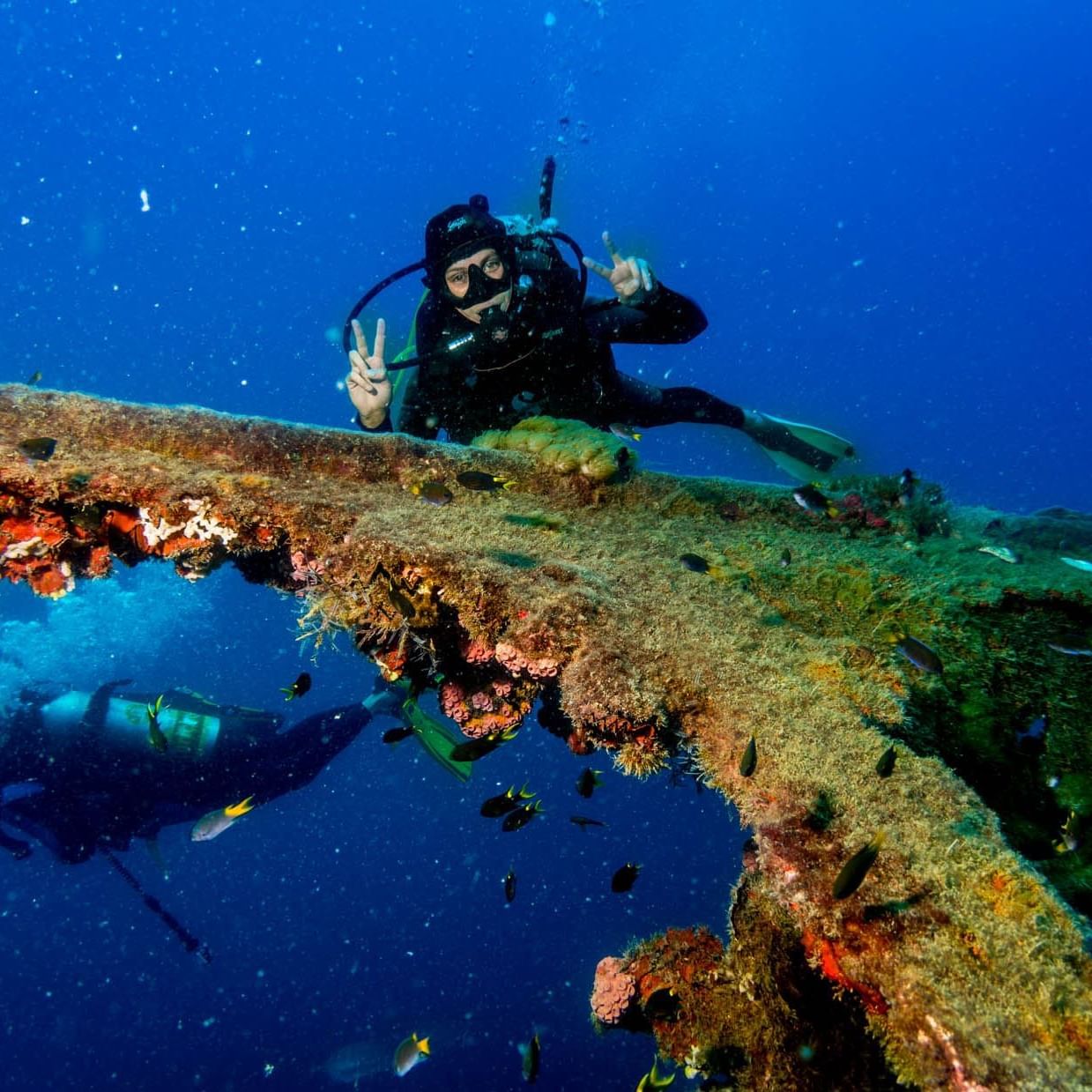Diver exploring underwater near Grand Chancellor Townsville