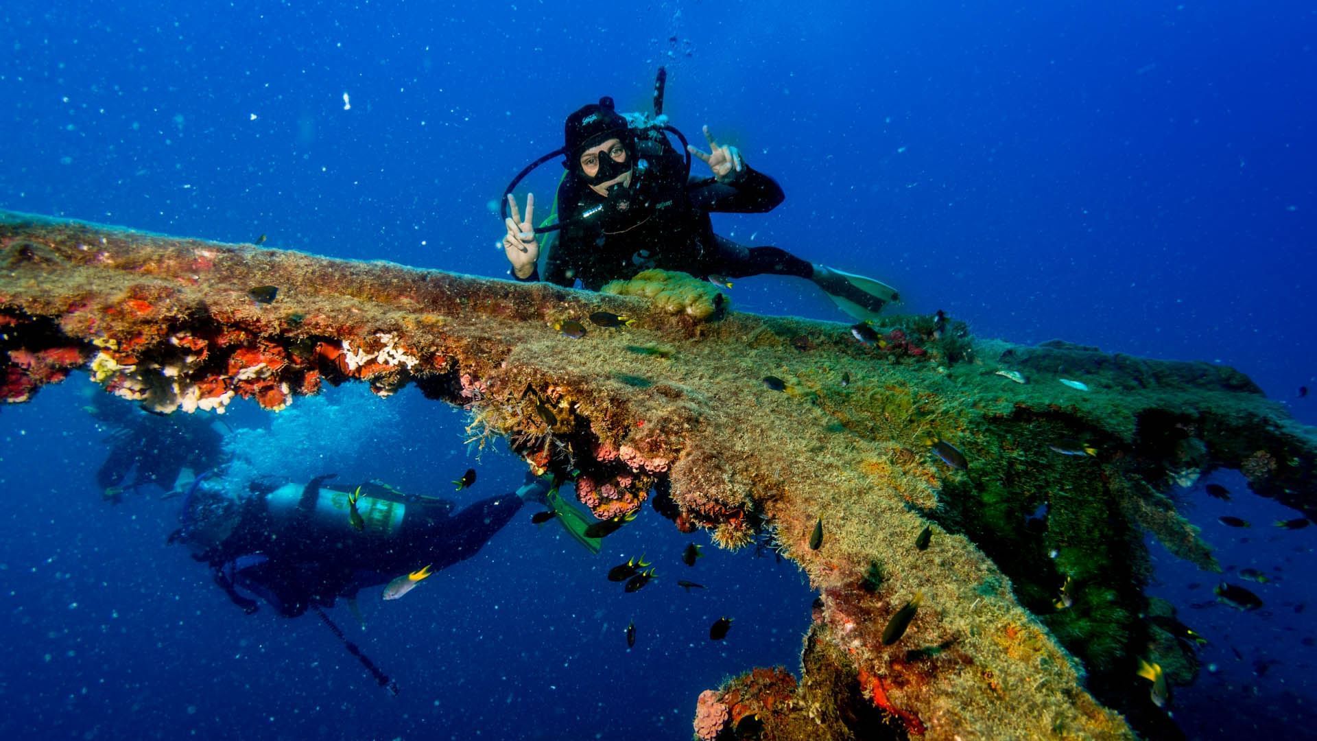 Divers exploring the Great Barrier Reef underwater in Yongala Dive near Hotel Grand Chancellor Townsville