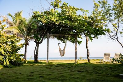 White hammock hanging between trees on the grass at Barefoot Cay Resort & Marina