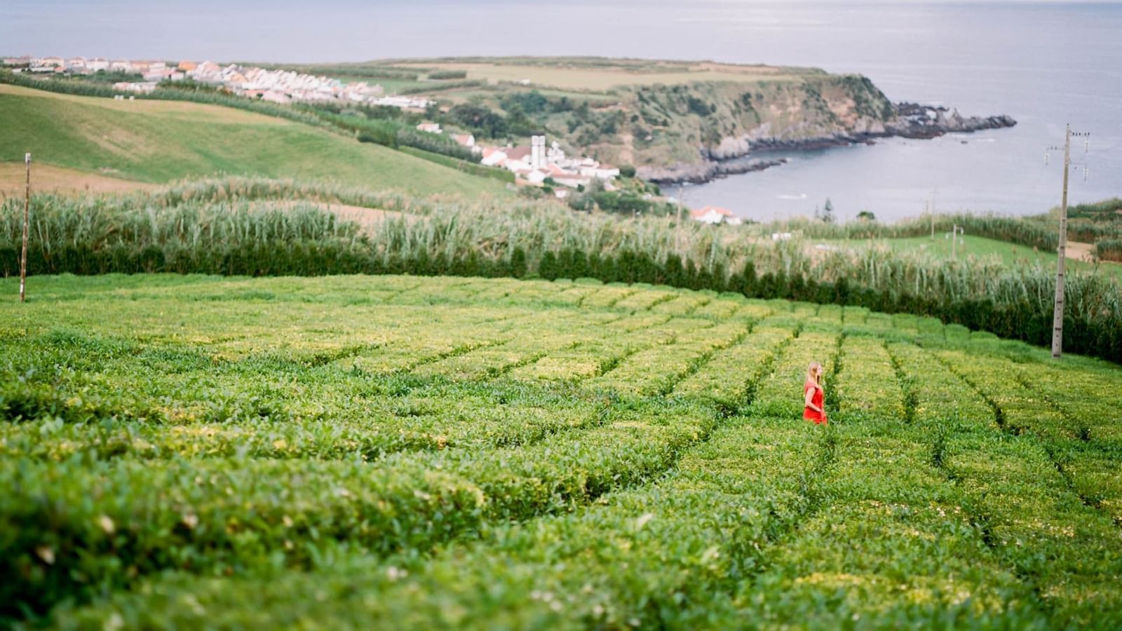 _@@Terra Nostra Garden Hotel@@_