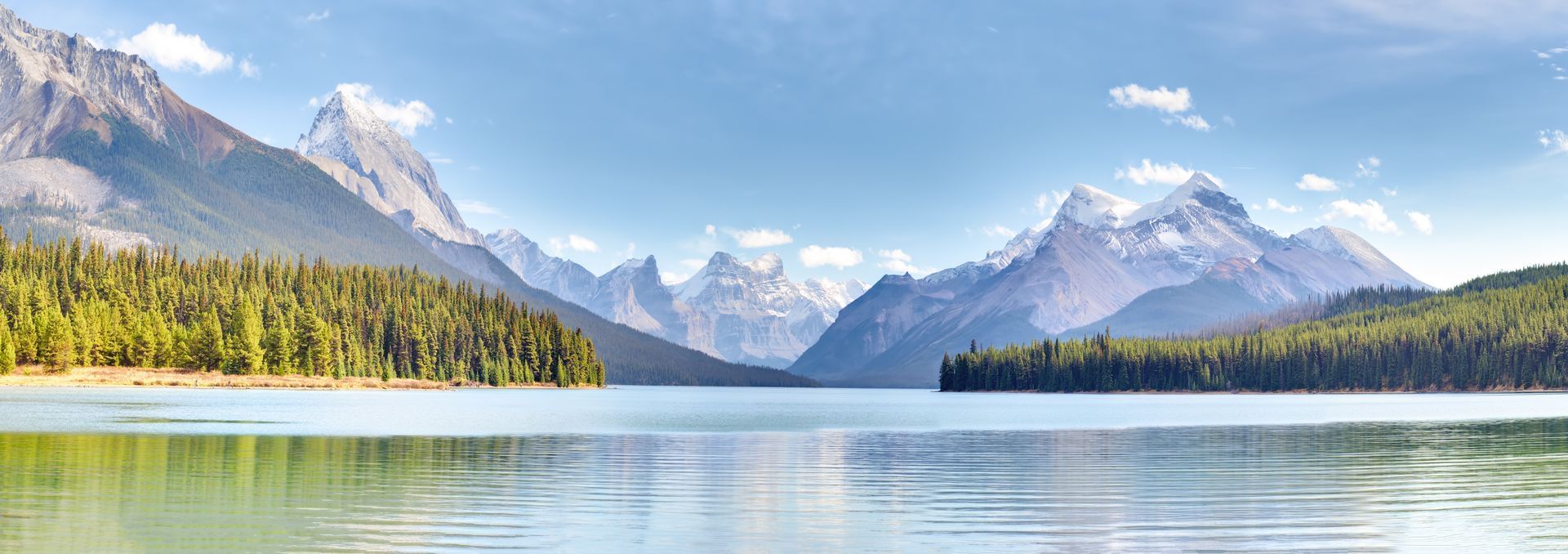 Lake surrounded by pine trees and mountains