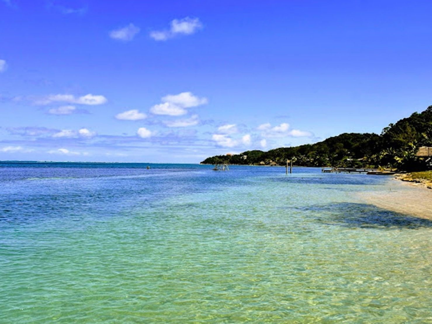 Calm turquoise water and shoreline under a blue sky at 
Roatan dive resorts, Barefoot Cay Resort & Marina