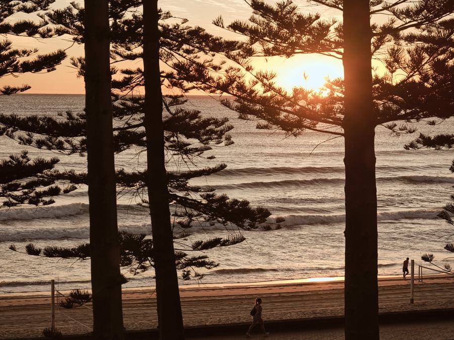 Morning walkers on a path by the beach under silhouetted pine tree trunks, with ocean waves near Elysium Manly